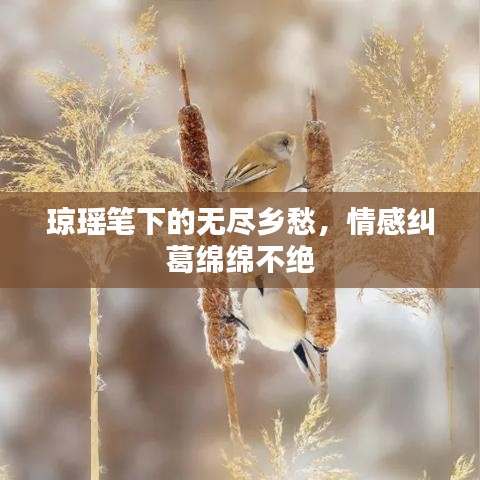 瓊瑤筆下的無盡鄉愁,情感糾葛綿綿不絕