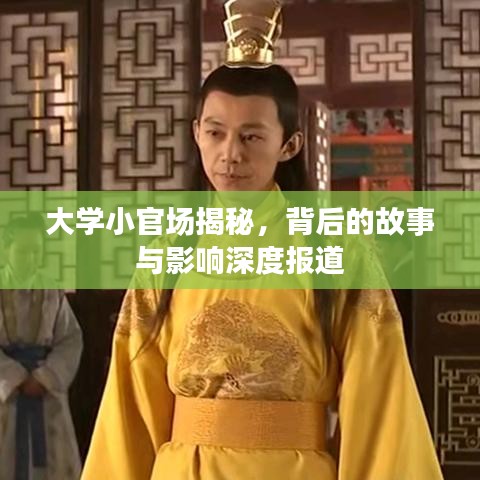 大學小官場揭秘，背后的故事與影響深度報道