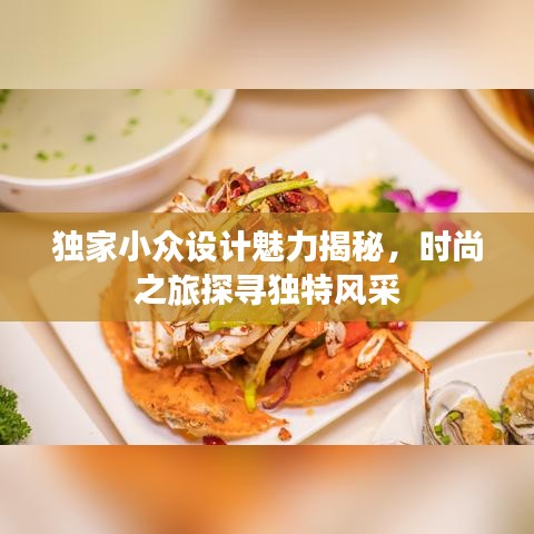 獨家小眾設(shè)計魅力揭秘，時尚之旅探尋獨特風(fēng)采