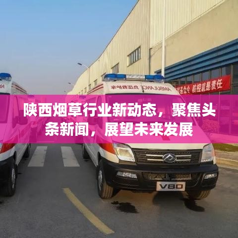 陜西煙草行業新動態,聚焦頭條新聞,展望未來發展