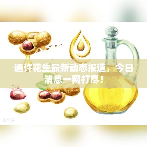 通許花生最新動態(tài)報道,今日消息一網(wǎng)打盡!