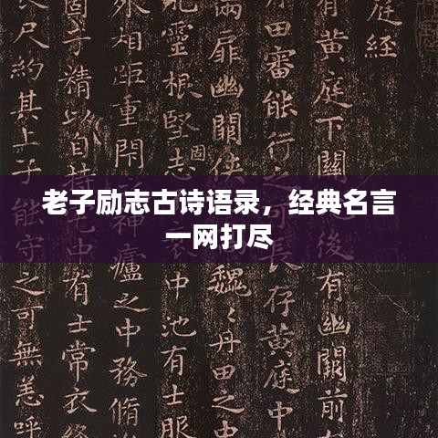 老子勵志古詩語錄,經(jīng)典名言一網(wǎng)打盡