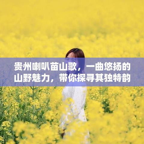 貴州喇叭苗山歌,一曲悠揚的山野魅力,帶你探尋其獨特韻味