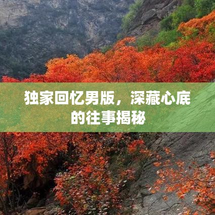 獨家回憶男版,深藏心底的往事揭秘