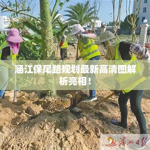 涵江保尾路規(guī)劃最新高清圖解析亮相！