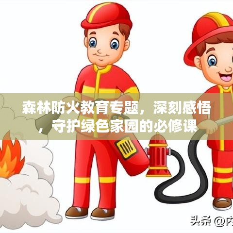 森林防火教育專題,深刻感悟,守護綠色家園的必修課