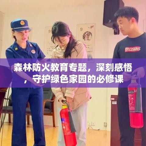 森林防火教育專題,深刻感悟,守護綠色家園的必修課