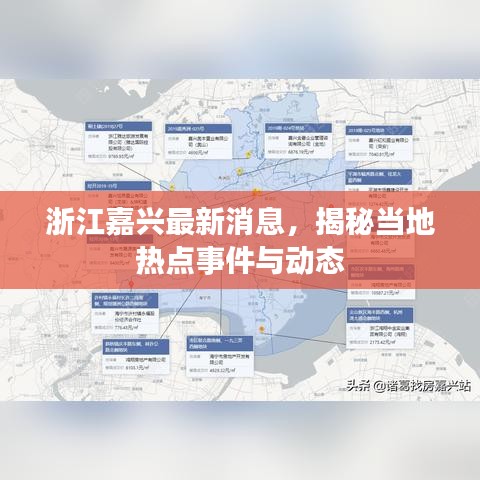 浙江嘉興最新消息，揭秘當地熱點事件與動態