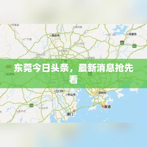 東莞今日頭條,最新消息搶先看