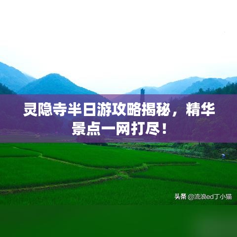 靈隱寺半日游攻略揭秘，精華景點一網(wǎng)打盡！