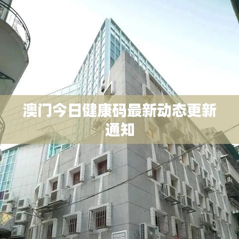 澳門今日健康碼最新動態更新通知