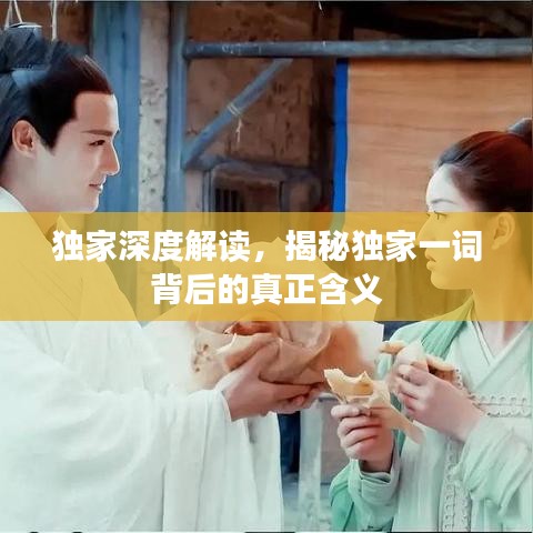 獨家深度解讀,揭秘獨家一詞背后的真正含義