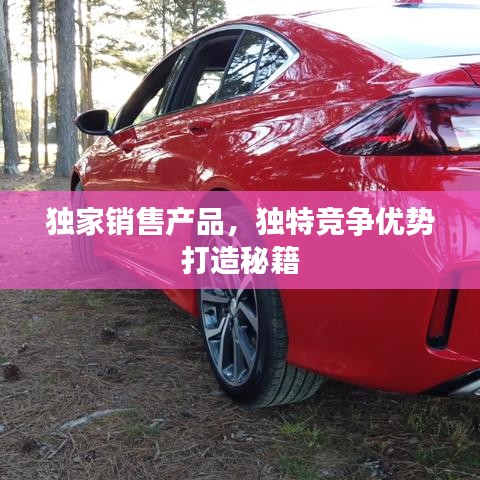 獨家銷售產品，獨特競爭優勢打造秘籍