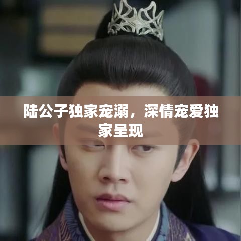 陸公子獨家寵溺,深情寵愛獨家呈現(xiàn)