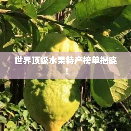 世界頂級水果特產榜單揭曉!