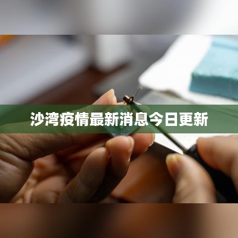 沙灣疫情最新消息今日更新
