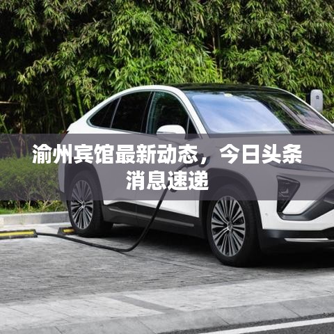 渝州賓館最新動(dòng)態(tài)，今日頭條消息速遞