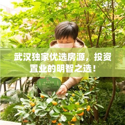 武漢獨家優選房源，投資置業的明智之選！
