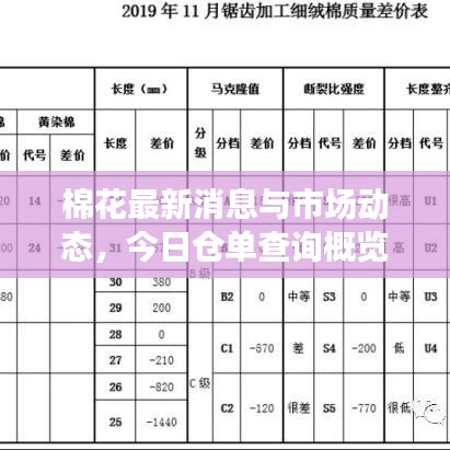棉花最新消息與市場動態，今日倉單查詢概覽