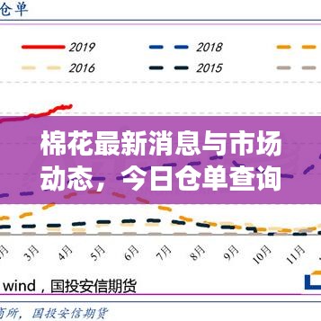 棉花最新消息與市場動態,今日倉單查詢概覽