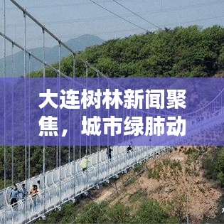 大連樹林新聞聚焦,城市綠肺動態更新