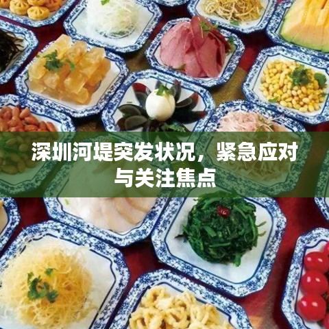 深圳河堤突發狀況,緊急應對與關注焦點