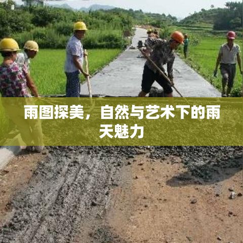 雨圖探美,自然與藝術下的雨天魅力