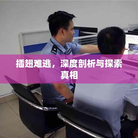 插翅難逃,深度剖析與探索真相