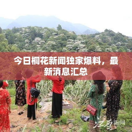 今日桐花新聞獨家爆料,最新消息匯總