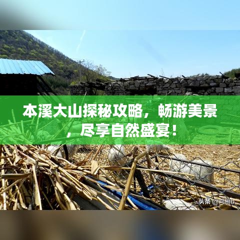 本溪大山探秘攻略，暢游美景，盡享自然盛宴！