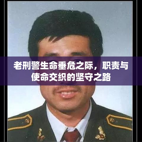 老刑警生命垂危之際,職責與使命交織的堅守之路