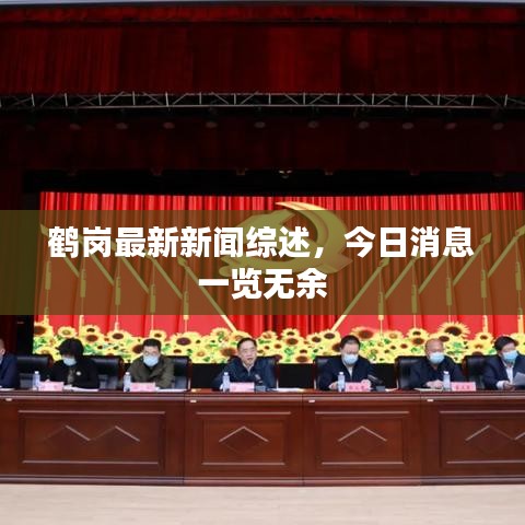 鶴崗最新新聞綜述,今日消息一覽無(wú)余