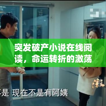 突發破產小說在線閱讀,命運轉折的激蕩之旅探索