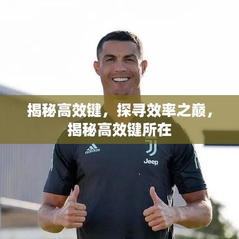 揭秘高效鍵，探尋效率之巔，揭秘高效鍵所在