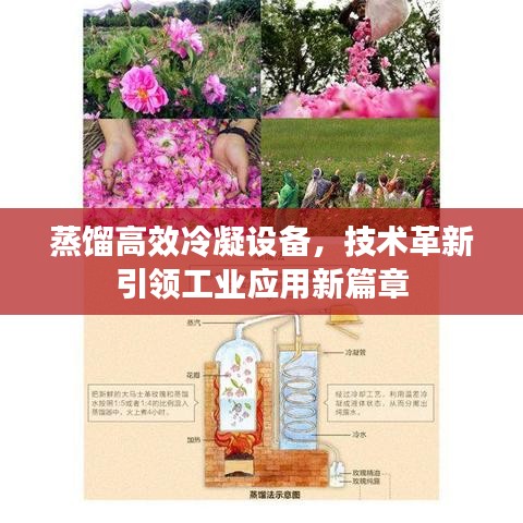蒸餾高效冷凝設備，技術革新引領工業應用新篇章