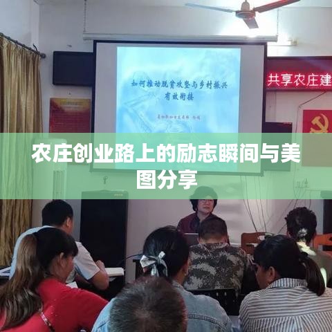 農莊創業路上的勵志瞬間與美圖分享