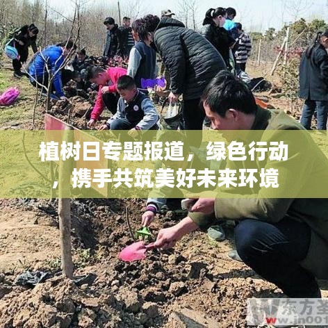 植樹日專題報道，綠色行動，攜手共筑美好未來環境