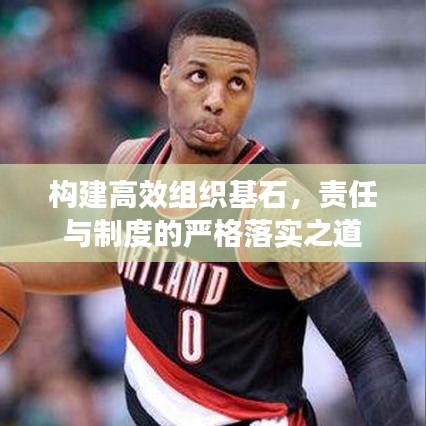 構建高效組織基石,責任與制度的嚴格落實之道