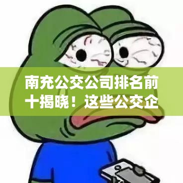 南充公交公司排名前十揭曉!這些公交企業成為行業佼佼者