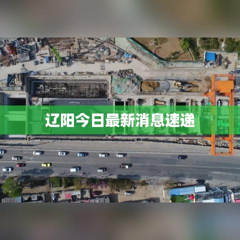 遼陽今日最新消息速遞