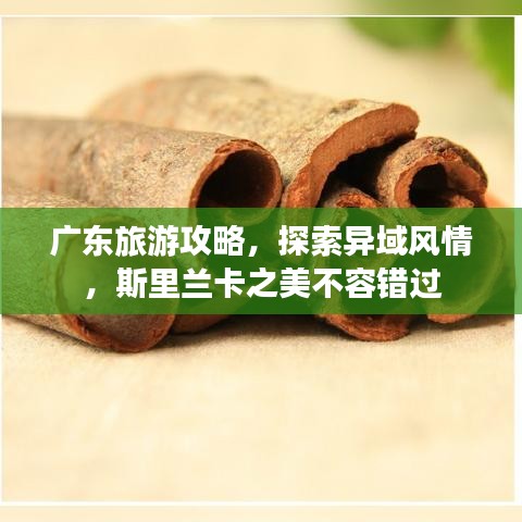 廣東旅游攻略,探索異域風情,斯里蘭卡之美不容錯過