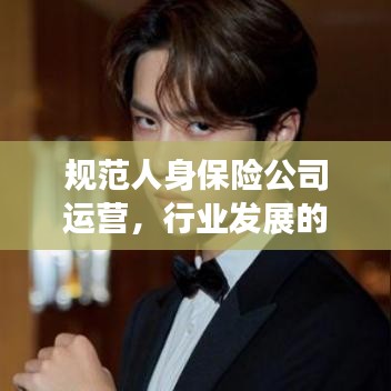 規范人身保險公司運營,行業發展的必經之路探討