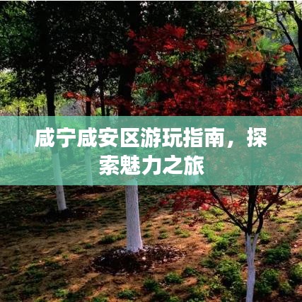 咸寧咸安區(qū)游玩指南，探索魅力之旅