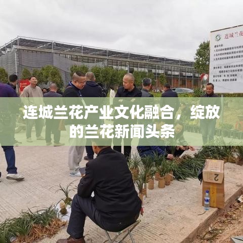 連城蘭花產業文化融合,綻放的蘭花新聞頭條