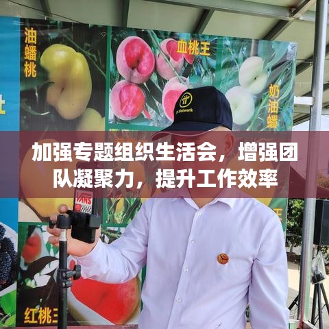 加強專題組織生活會,增強團隊凝聚力,提升工作效率