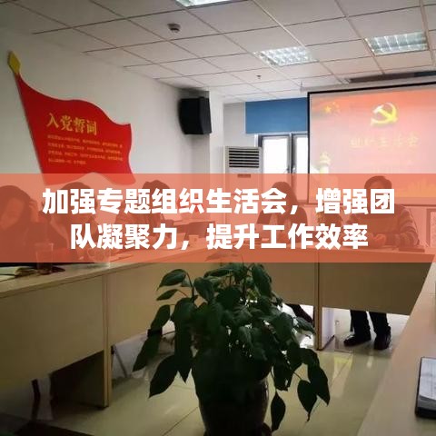 加強專題組織生活會,增強團隊凝聚力,提升工作效率