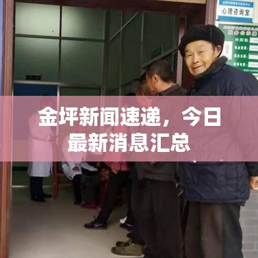 金坪新聞速遞,今日最新消息匯總