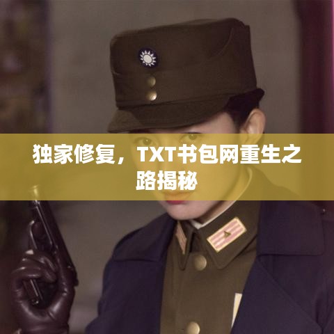 獨(dú)家修復(fù)，TXT書包網(wǎng)重生之路揭秘