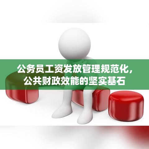 公務員工資發放管理規范化，公共財政效能的堅實基石