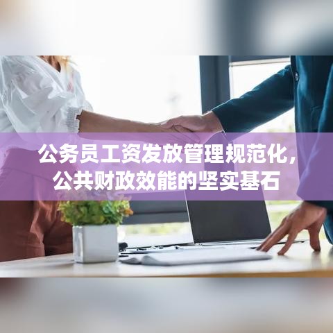 公務員工資發放管理規范化,公共財政效能的堅實基石